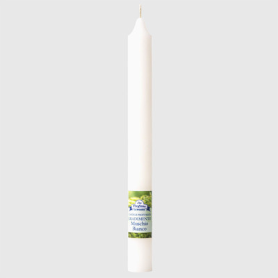 Vela Perfumada White Musk D2 X A21 Cm